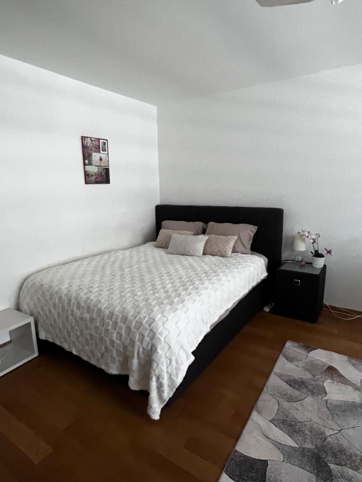 Apartments In Bern - Green Relax Екстер'єр фото
