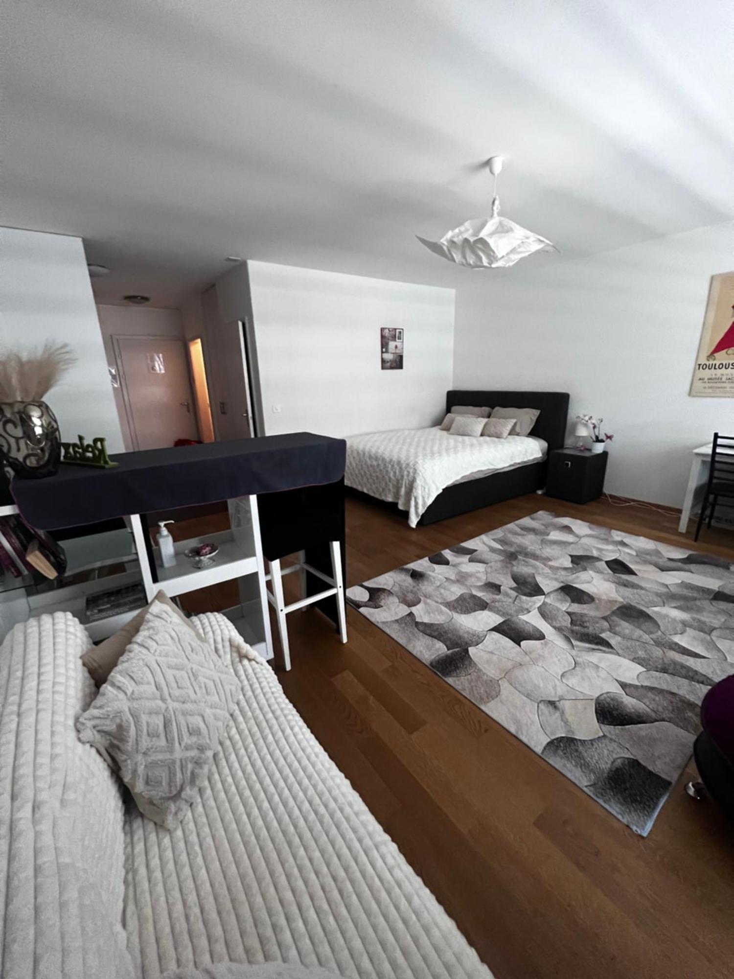 Apartments In Bern - Green Relax Екстер'єр фото