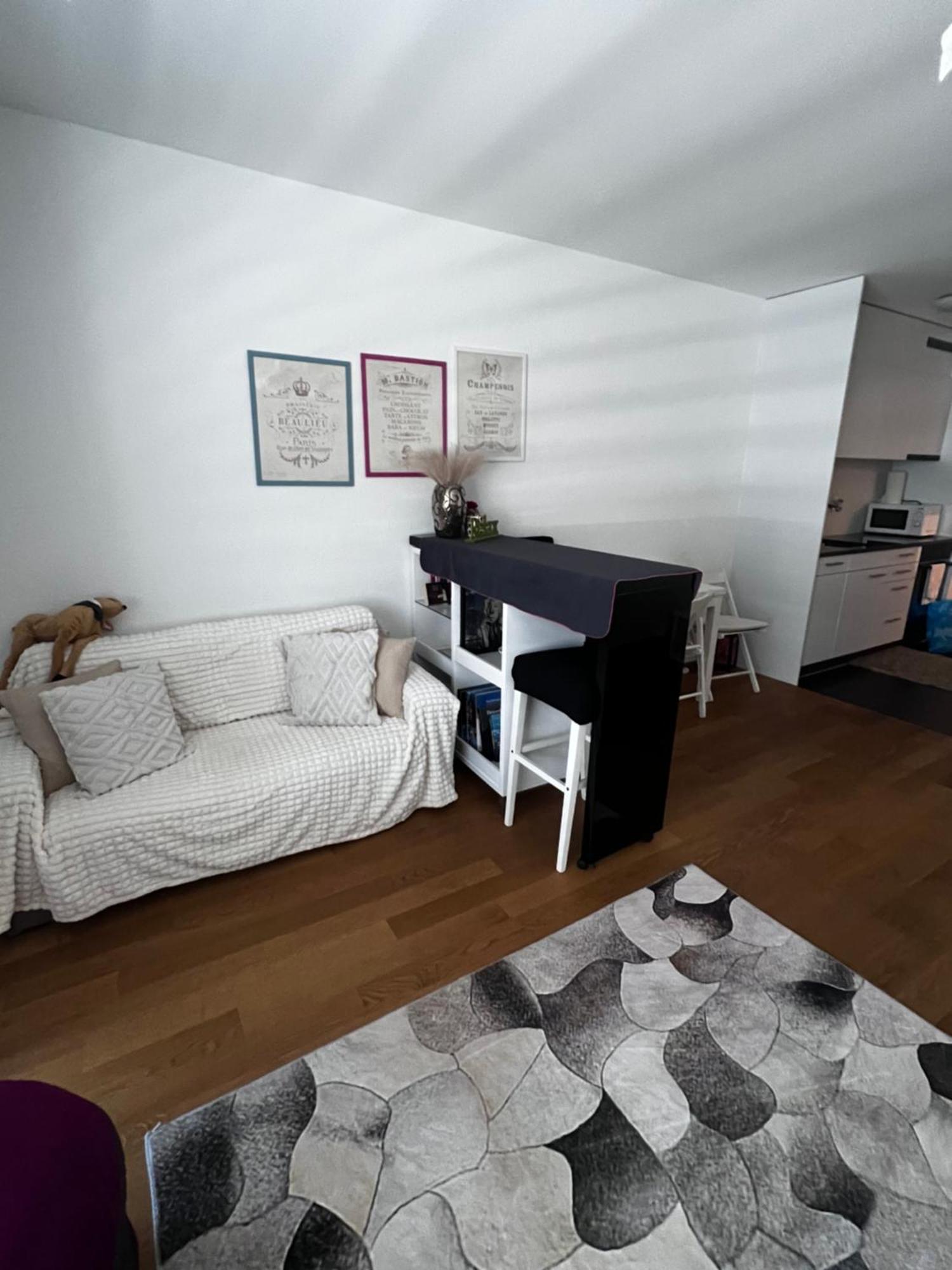 Apartments In Bern - Green Relax Екстер'єр фото